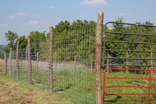 Tall fence to keep deer out of garden