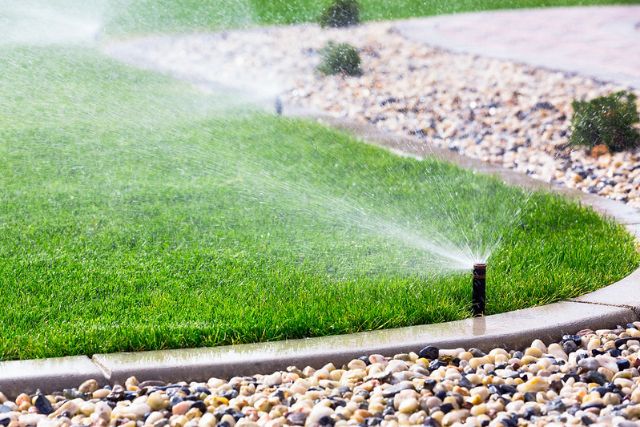 watering grass seed