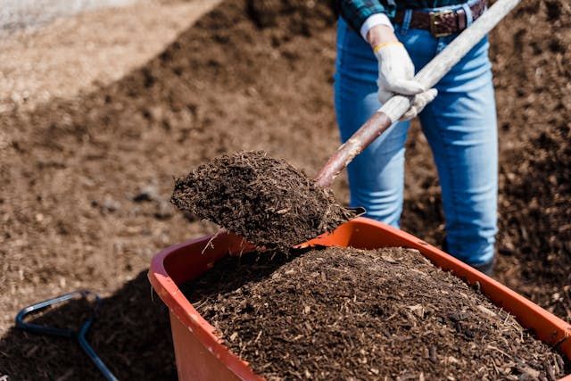 Prepare the Soil